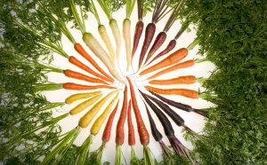 food-carrots-diversity-circle