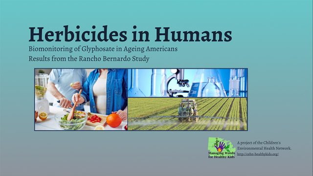 Herbicides in Humans | Hygeia Analytics