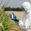 Genetically Engineered Food Needs Better Regulation