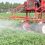 EPA Ignores 20 Years of Science in Giving Chlorpyrifos New Life