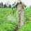 Glyphosate Paper Honored Among the Top Science Papers of 2016 in “Environmental Health”