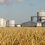 Bad News for Backers of Ethanol from UW Madison Team